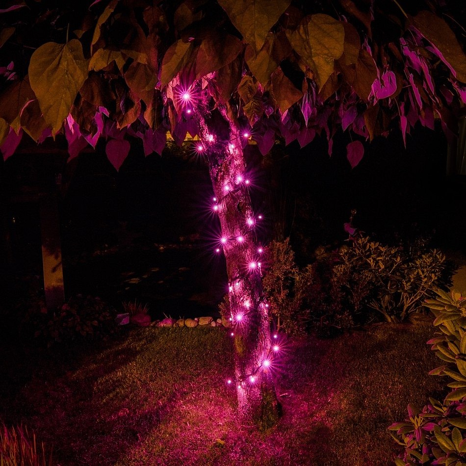 LED-Lichterkette 5 m, Rosa, 50 Dioden, IP67