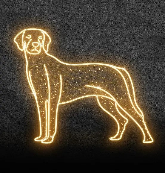 LED světelný Pes, teple bílá, 140x120 cm,  36 V, 16,3 W, ze 4 dílů