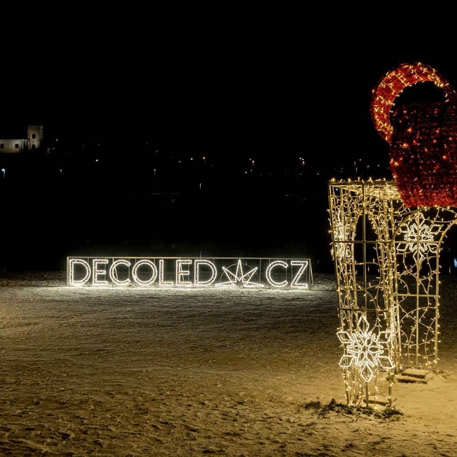 24329_DLEDN50-2.JPG
