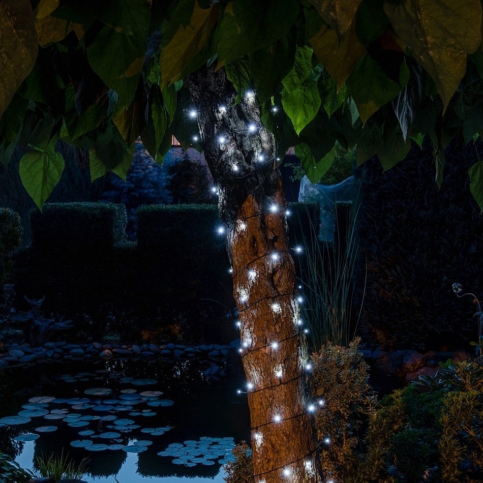 7900_LWS34-2-l