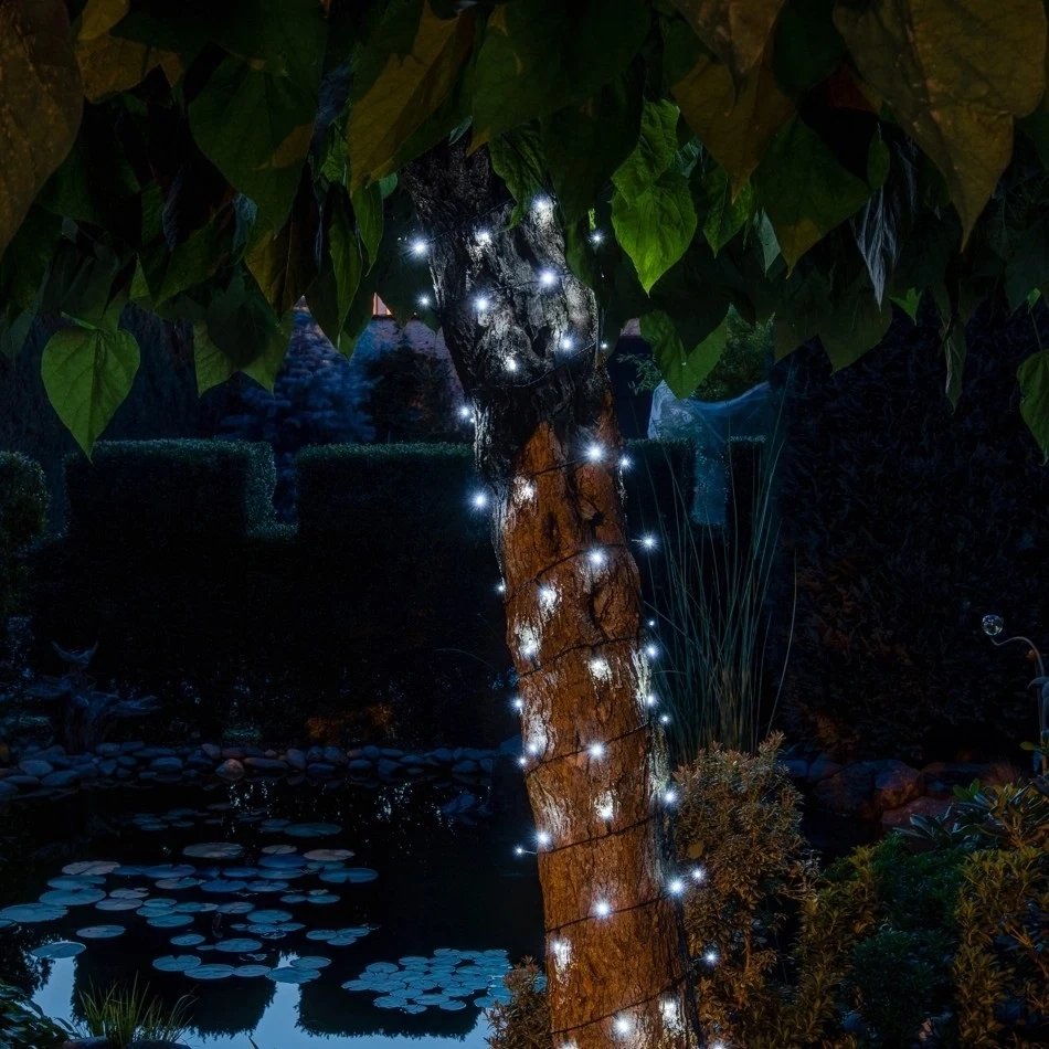 7900_LWS34-2-l