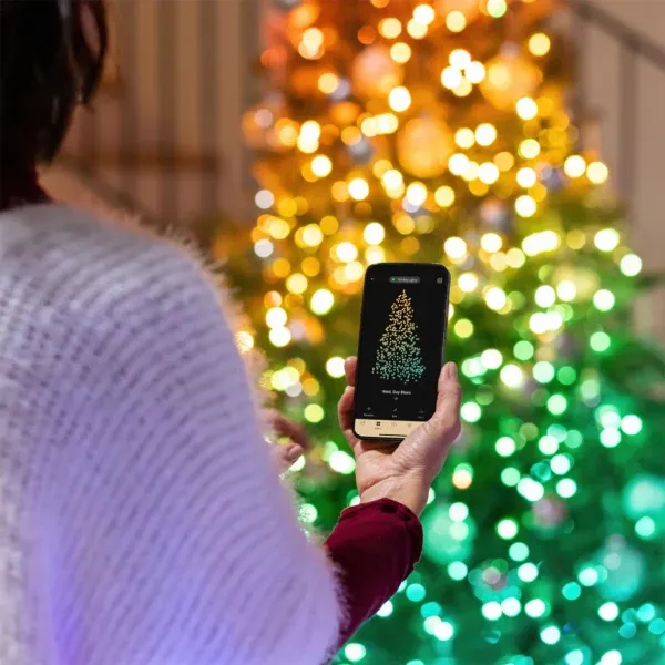 twinkly-gallery-5.jpeg