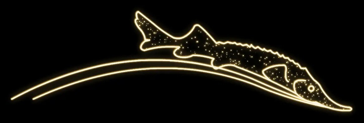 Eco Fix 2D LED světelná ryba, závěsná, 250 × 60 × 3 cm, teple bílá, 3D tisk, DZX11103WS2