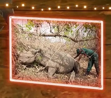 Eco Fix 2D LED světlo zarámovaná fotografie, teple bílá, závěsný, hliník